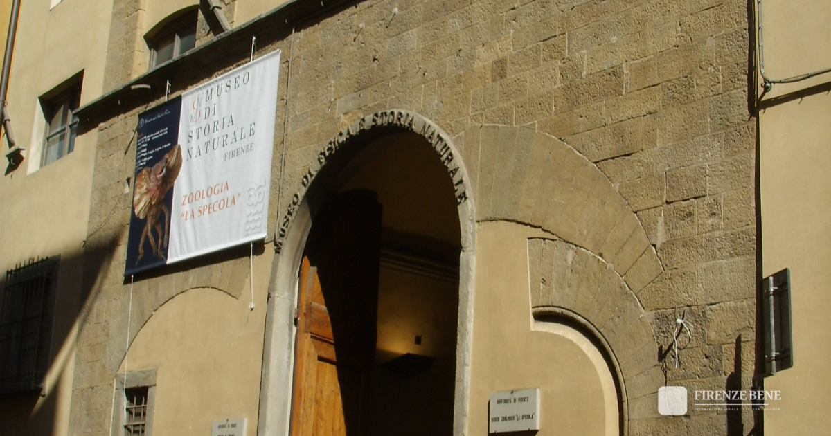 La Specola: Via Romana 17, 10 euro (non è il Galileo)